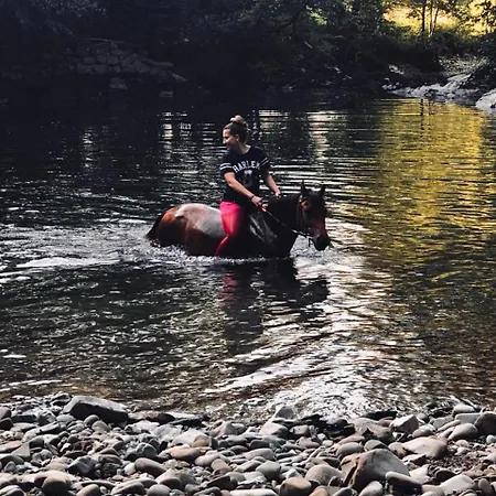 Villa Gaspar Dražice