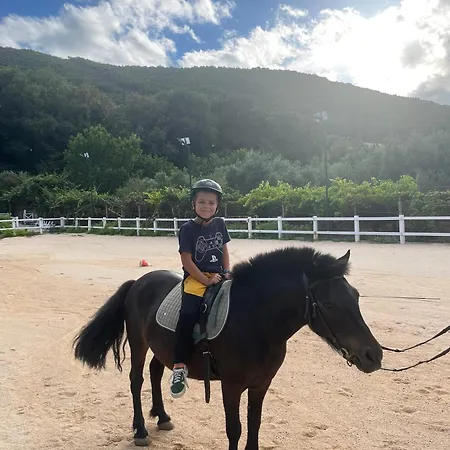 Gaspar Villa Drazice